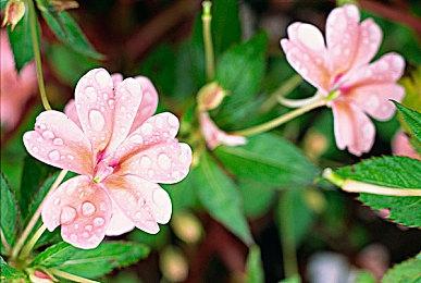 华纳确认《真人快打12》开发中 将于今年内发布